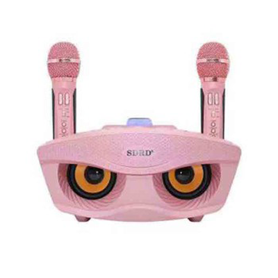 Mic đôi Karaoke SD306